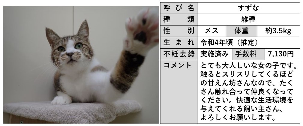 すずな