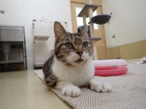 たきこの写真