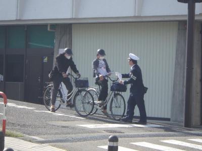 画像（ヘルメット着用調査）