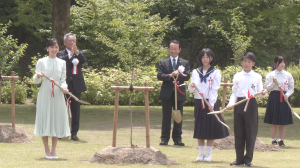 植樹の様子