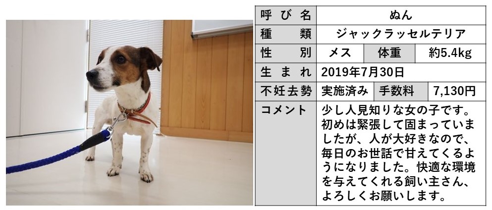 ぬん