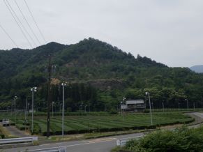 指導2