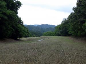 B02R0706