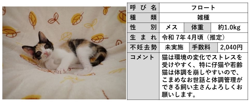 フロート