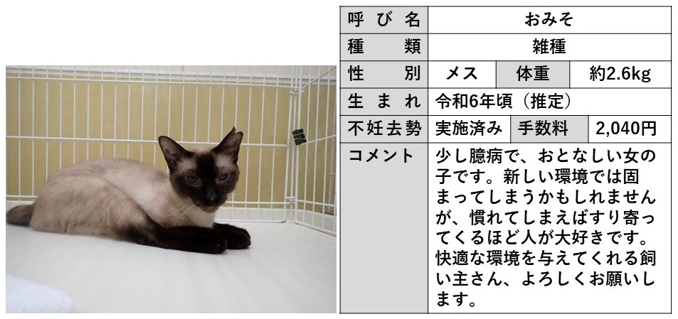 おみそ