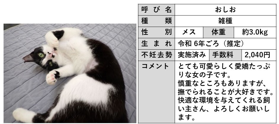 おしお