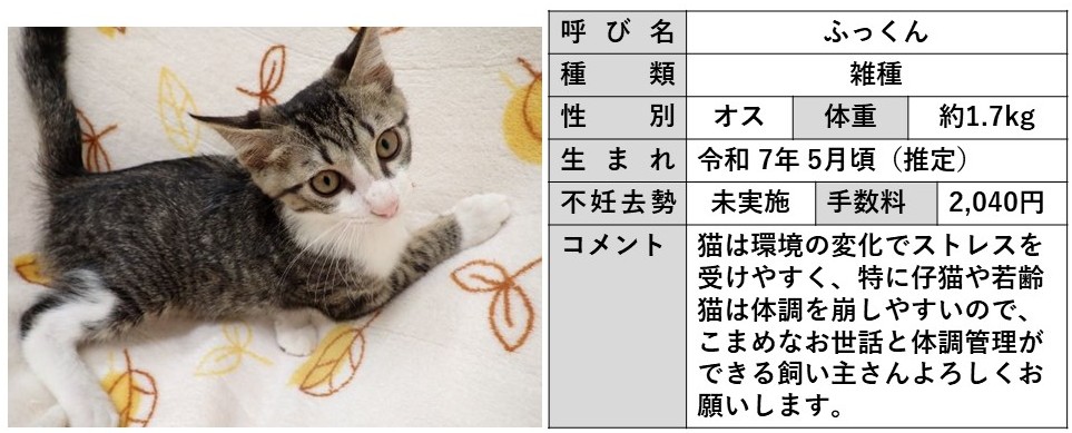 ふっくん
