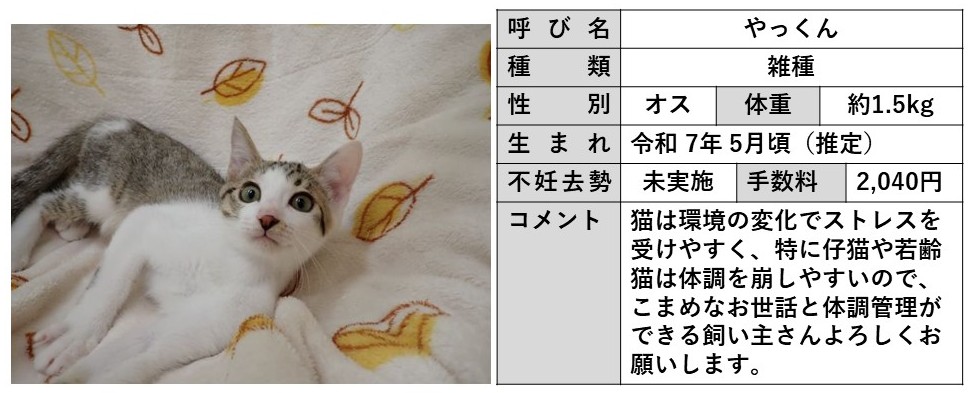 やっくん