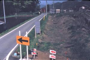 発掘区の全景写真です