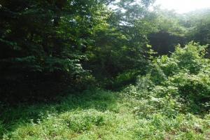 B11R0708