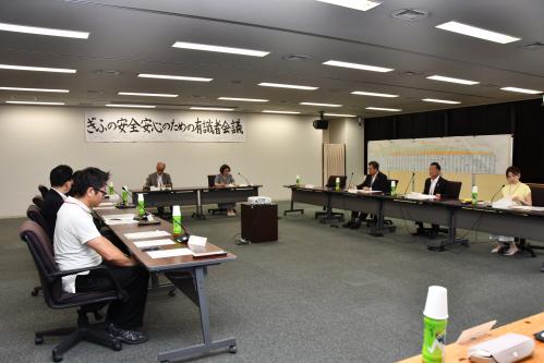 有識者会議
