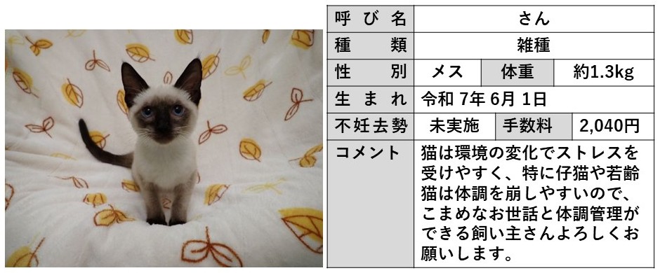 さん