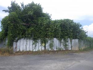 B05R0709