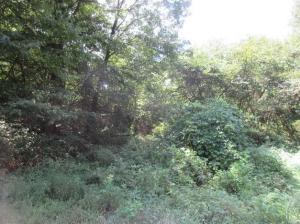 B11R0709