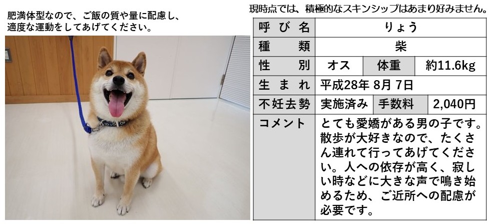 りょう