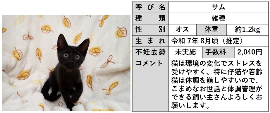 サム