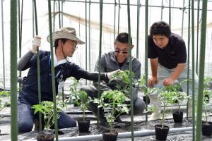 郡上トマトの学校