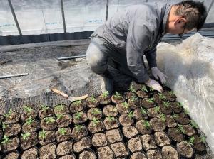 郡上トマトの学校