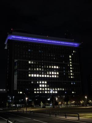 ライトアップ画像