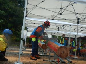 丸太合せ輪切り競技（プロフェッショナル）