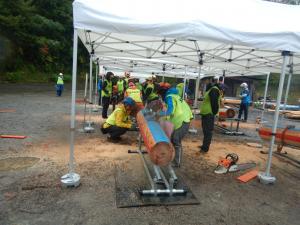 丸太合せ輪切り競技（計測状況）