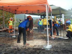 伐倒競技（プロフェッショナル）