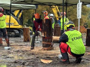 伐倒競技（ビギナー）