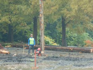 伐倒競技（マストツリー方式）デモンストレーション１