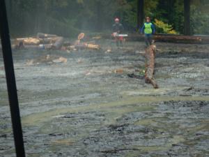 伐倒競技（マストツリー方式）デモンストレーション２