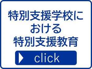 特別支援学校における特別支援教育