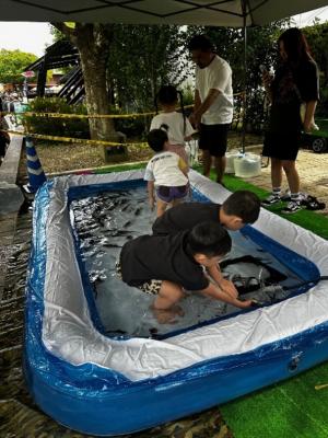 おさかなタッチプール