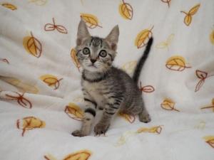 たらふくの写真