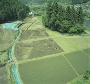 発掘区の写真です