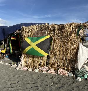 ジャマイカカラー