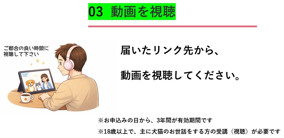 動画視聴
