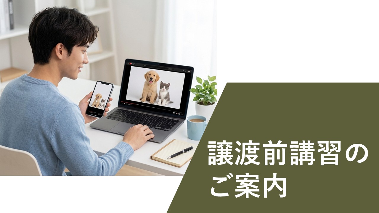 動画視聴
