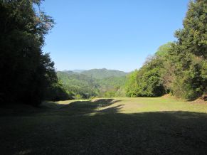 指導1