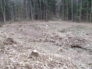 松倉城屋敷跡の調査前発掘区全景の写真です