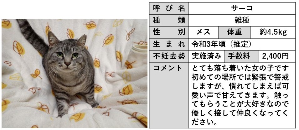 サーコ