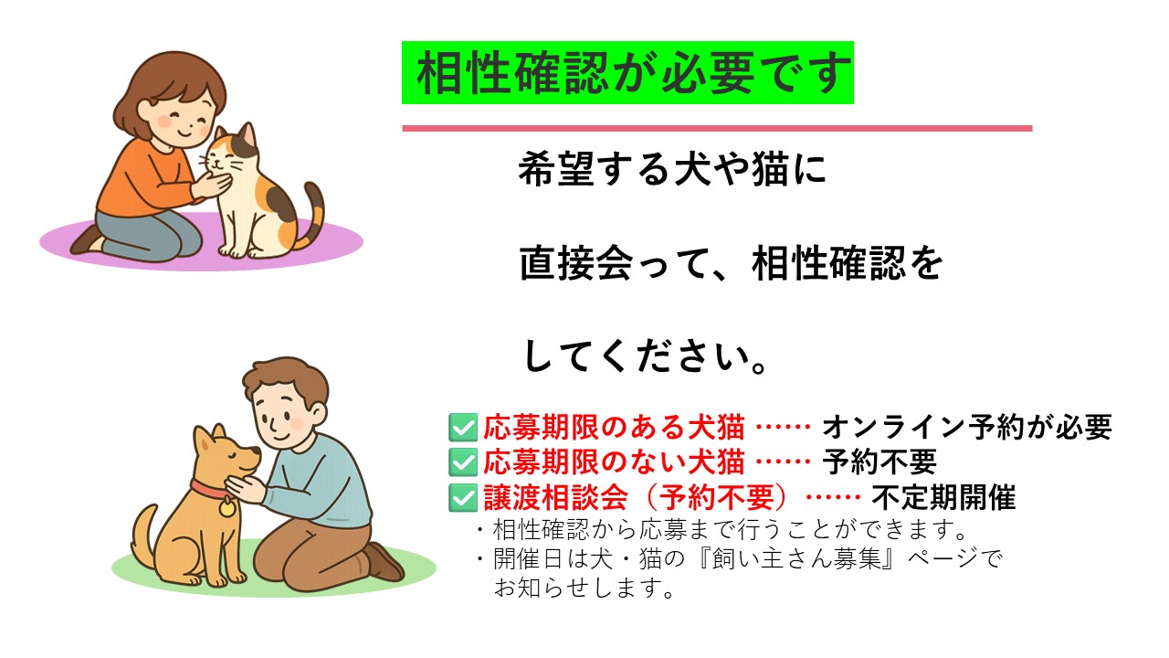 相性確認