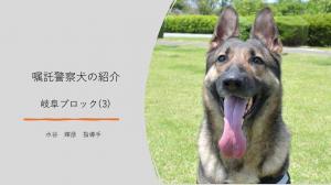 岐阜ブロック（3）