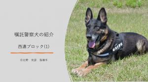 西濃ブロック(1)