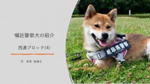 西濃ブロック(4)