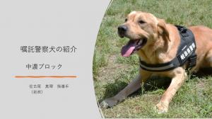 中濃