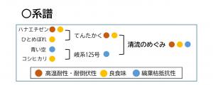 清流のめぐみ_系譜