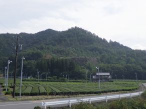 指導2