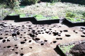 発掘区の近景写真です