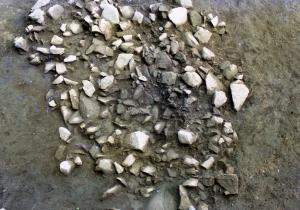 焼礫集石遺構を検出した時の写真です