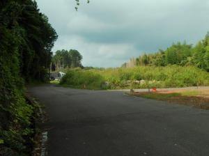 B08R0809