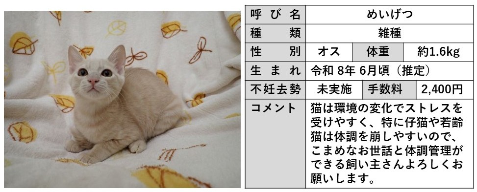 めいげつ